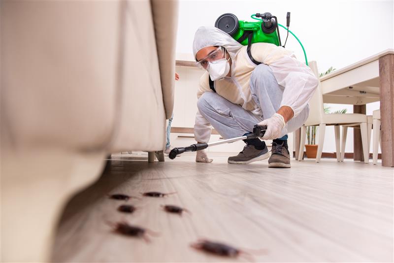 Professional cleaning services