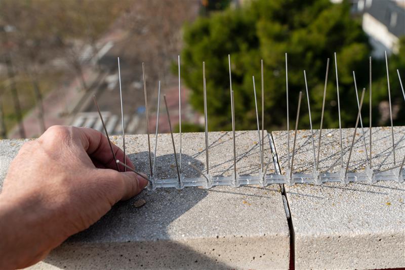spikes on roof to stop pigeons